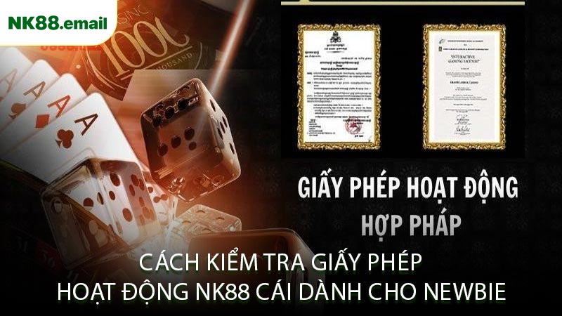 Cách Kiểm Tra Giấy Phép Hoạt Động NK88 Cái Dành Cho Newbie