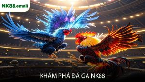 Khám Phá Đá Gà NK88