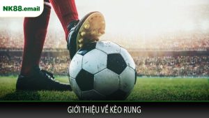 Giới Thiệu Về Kèo Rung