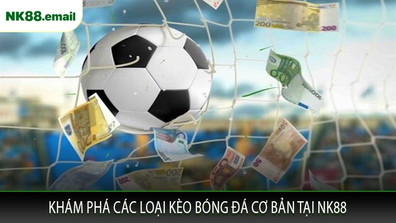 Khám Phá Các Loại Kèo Bóng Đá Cơ Bản Tại NK88