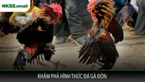 Khám Phá Hình Thức Đá Gà Đòn