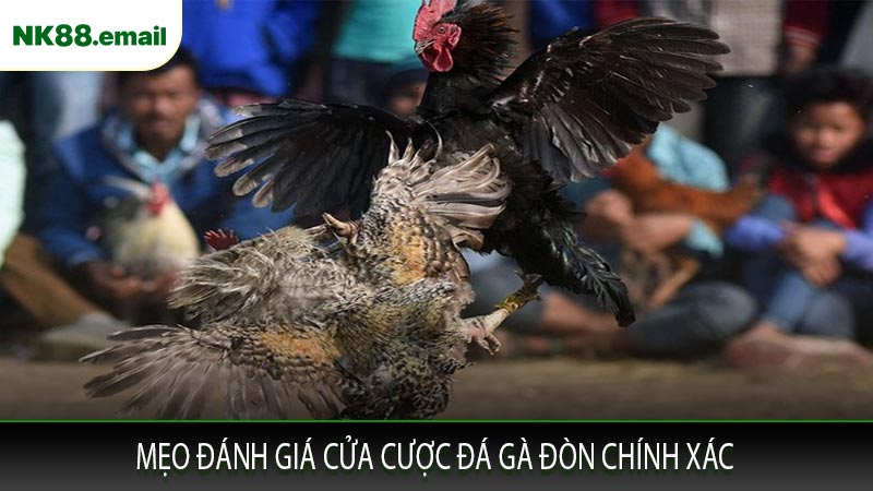 Mẹo Đánh Giá Cửa Cược Đá Gà Đòn Chính Xác